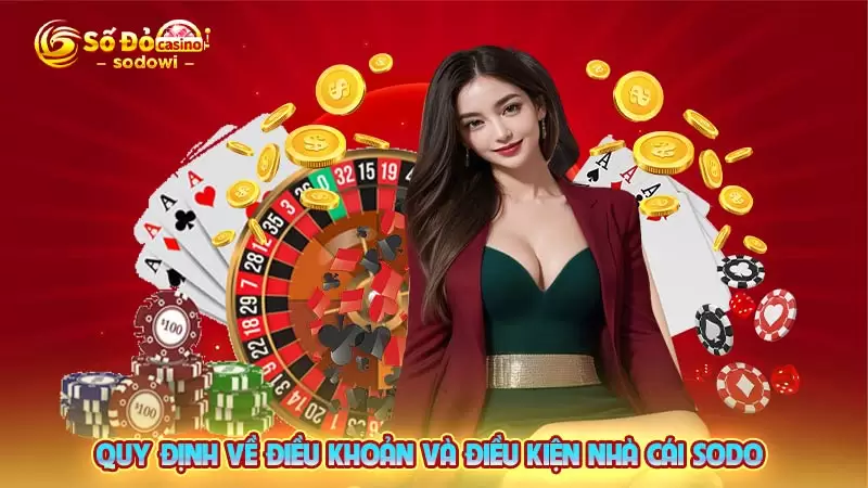 quy định về điều khoản và điều kiện sodo