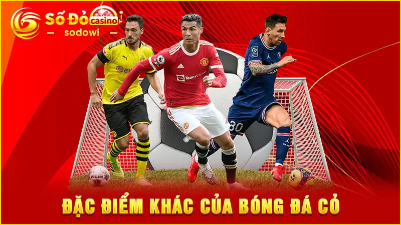 Đặc điểm khác của thể loại bóng đá cỏ